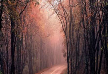 [CBA]常规赛12月4日：浙江VS吉林 蔡林翰集锦.