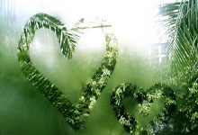 [法甲]第16轮：摩纳哥2-4巴黎圣日耳曼.